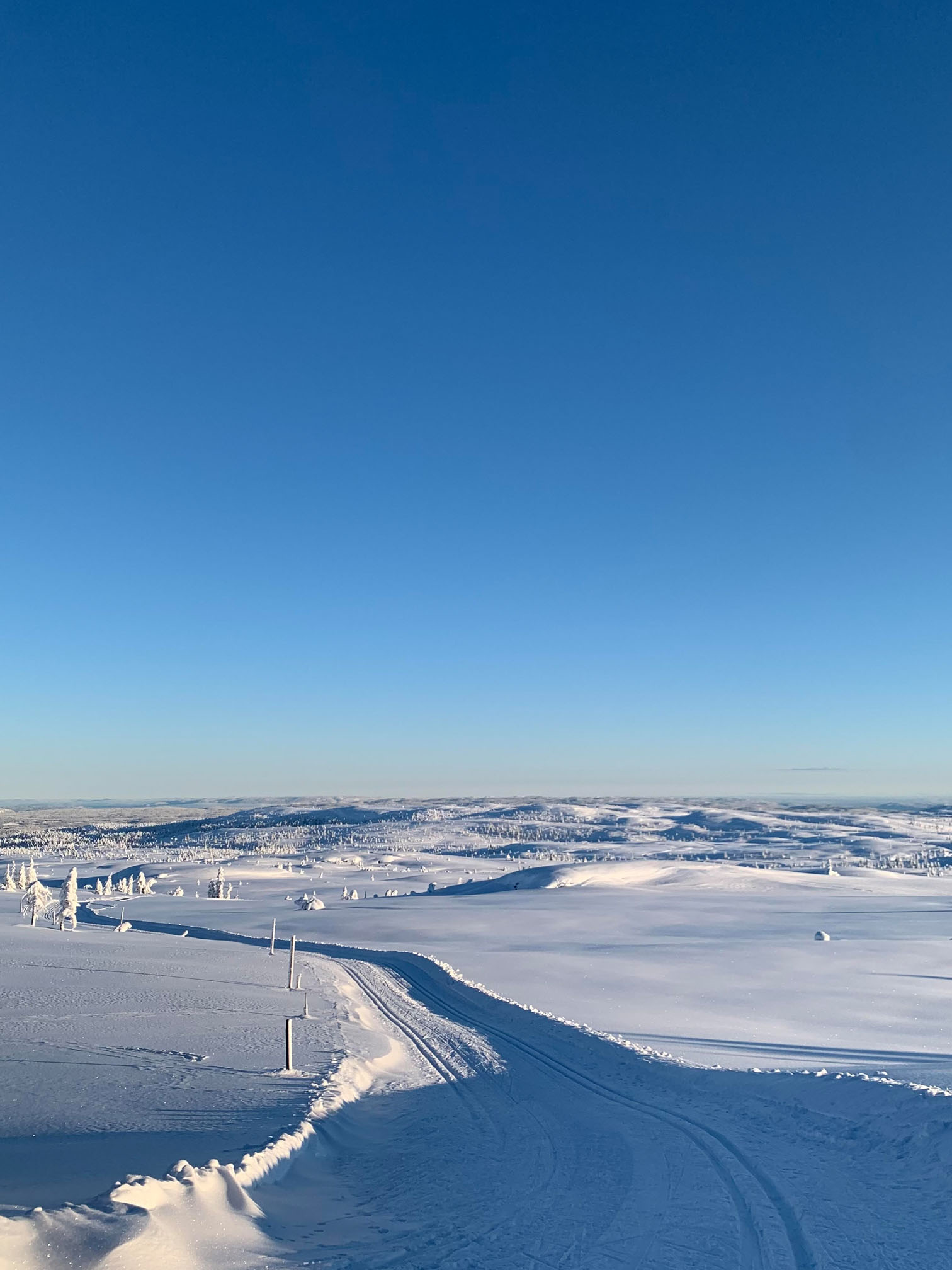Oppkjørte skiløyper og knall på himmel på Blefjell
