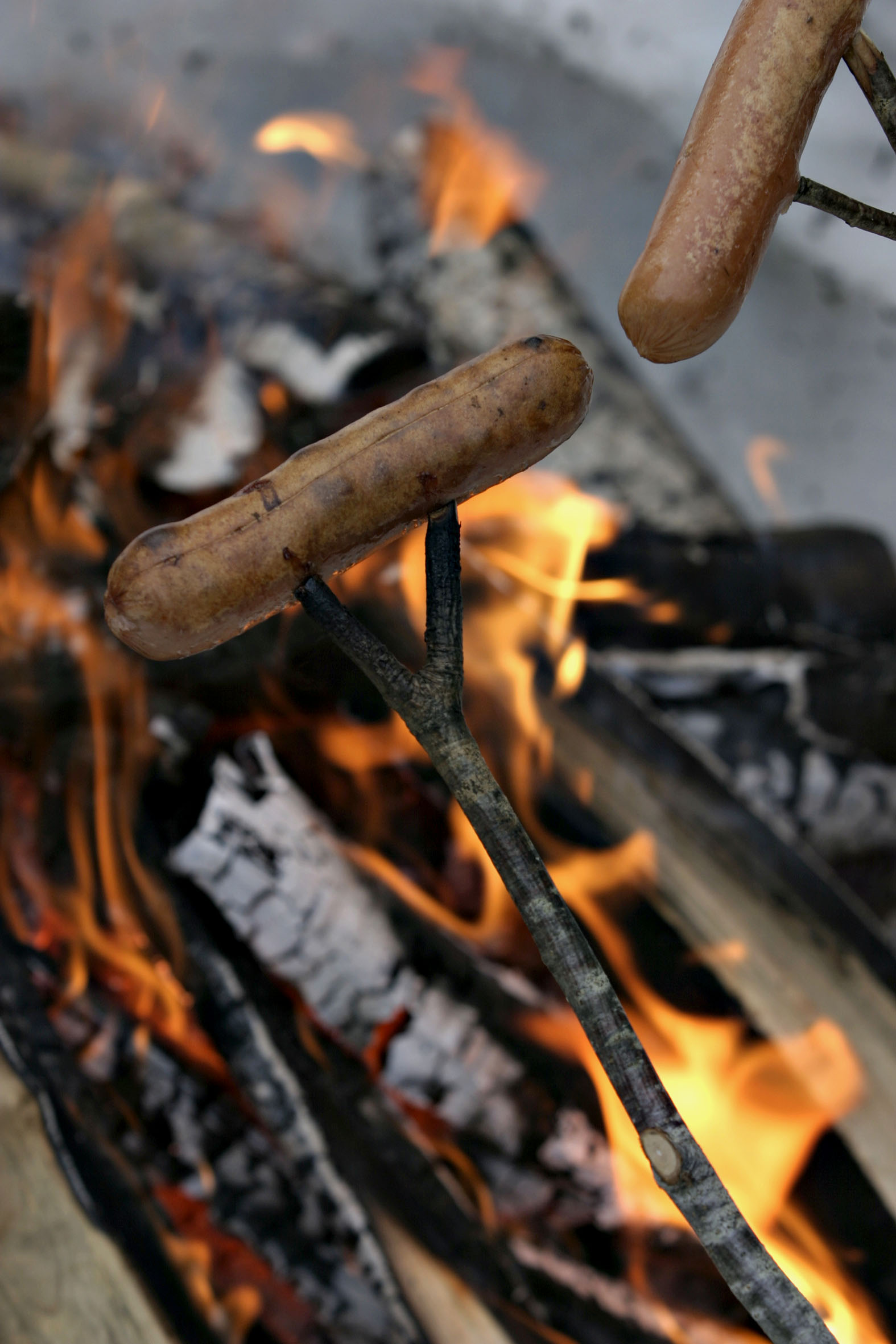 Pøser grilles på pinner over et bål i snøen