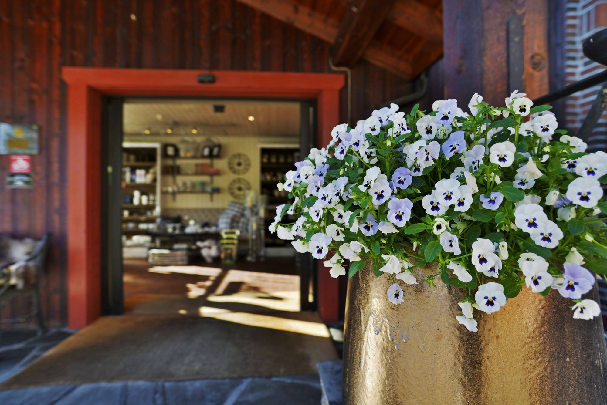 Lampeland Hotell - inngang resepsjon