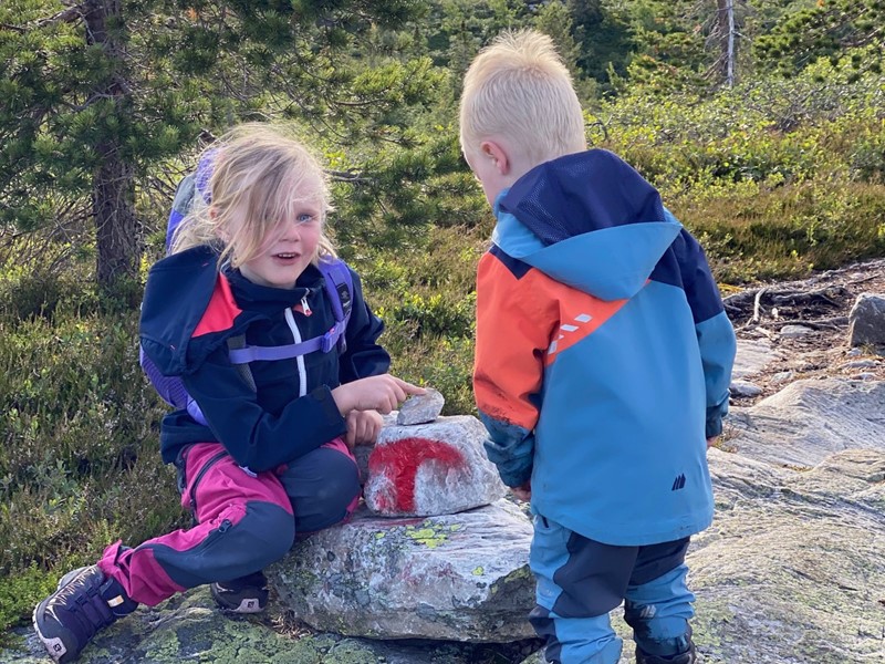 Barn på Blefjell