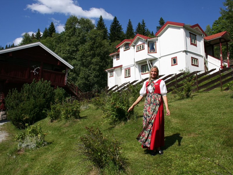 Kunstnerdalen Sigdal - Hagan